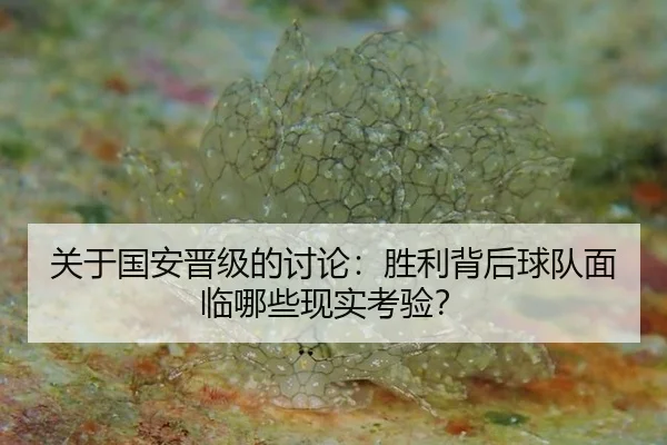 guan-yu-guo-an-jin-ji-de-tao-lun-sheng-li-bei-hou-qiu-dui-mian-lin-na-xie-xian-shi-kao-yan-2-672.jpg